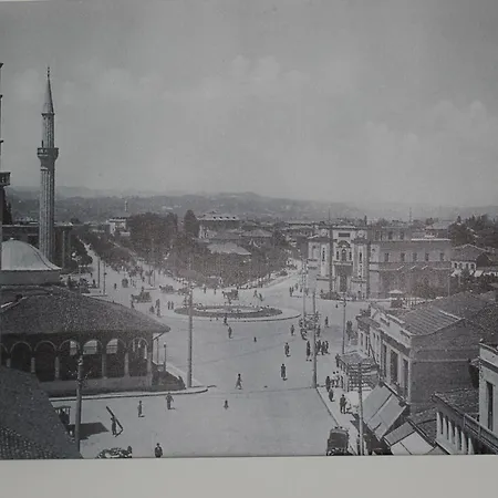 Lavandula Of Church * Тирана